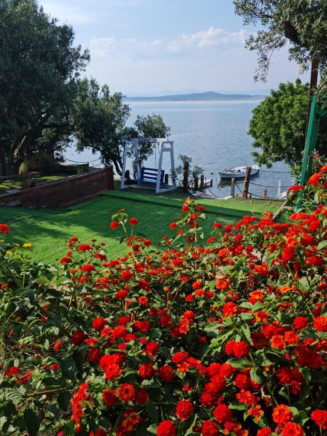 Qcunda Otel Ayvalı Eksteriør billede